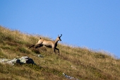 23_E corrono